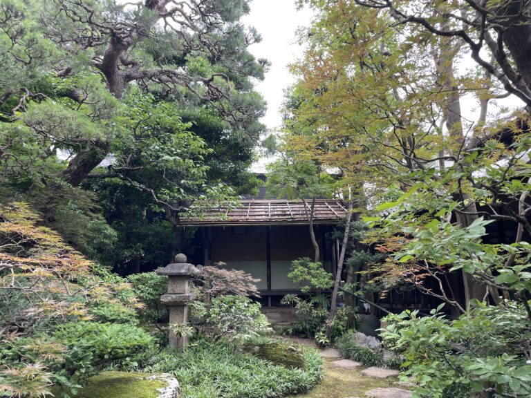 秋の体験茶会　第二期申し込み状況