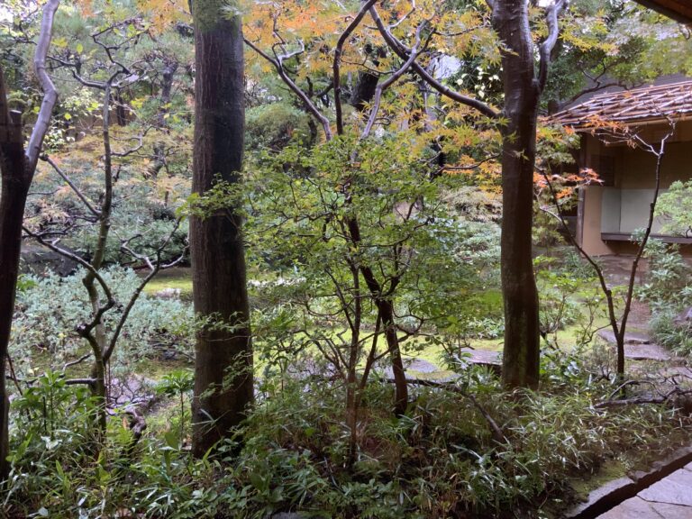雨の独楽庵
