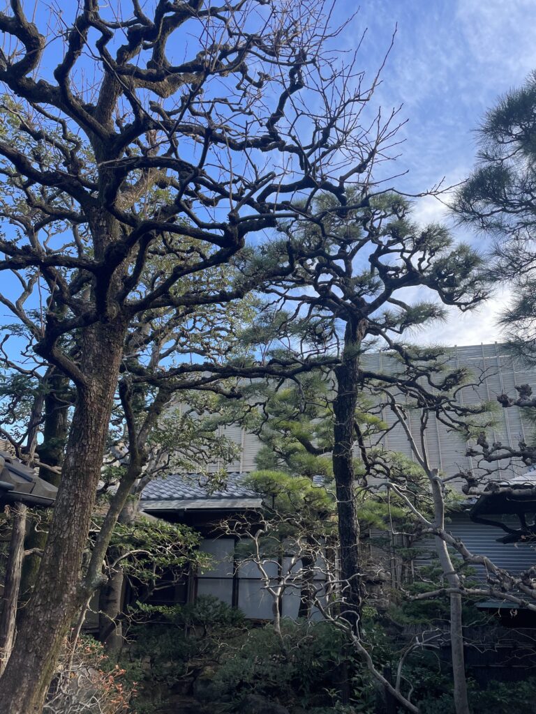 冬支度