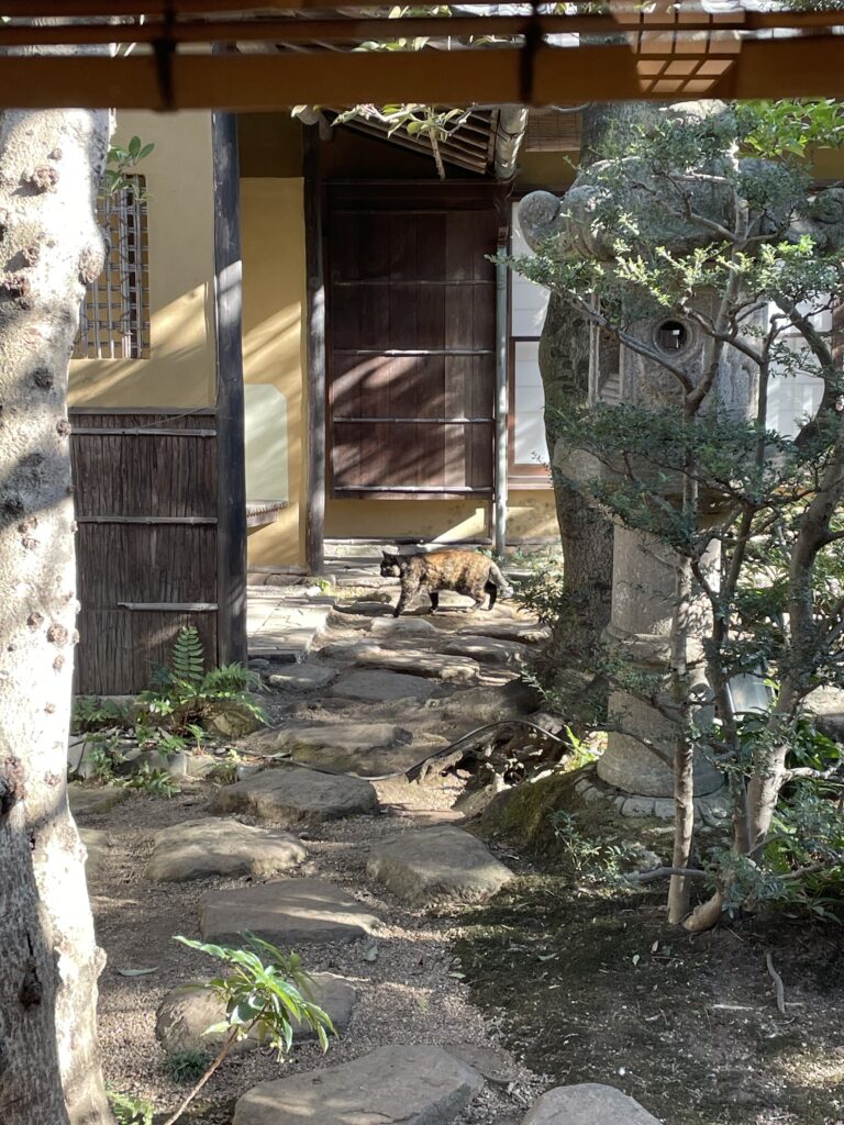 お客様