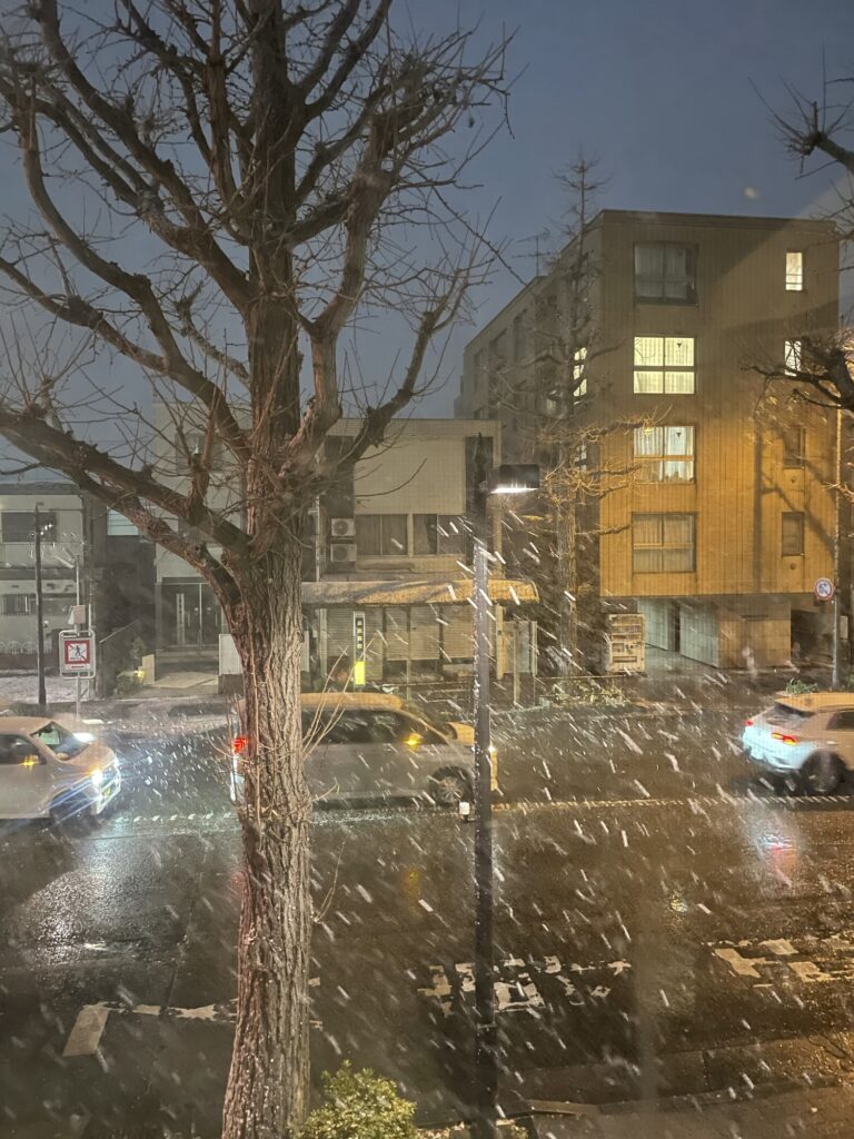 初雪