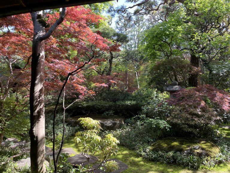 初夏に向かって