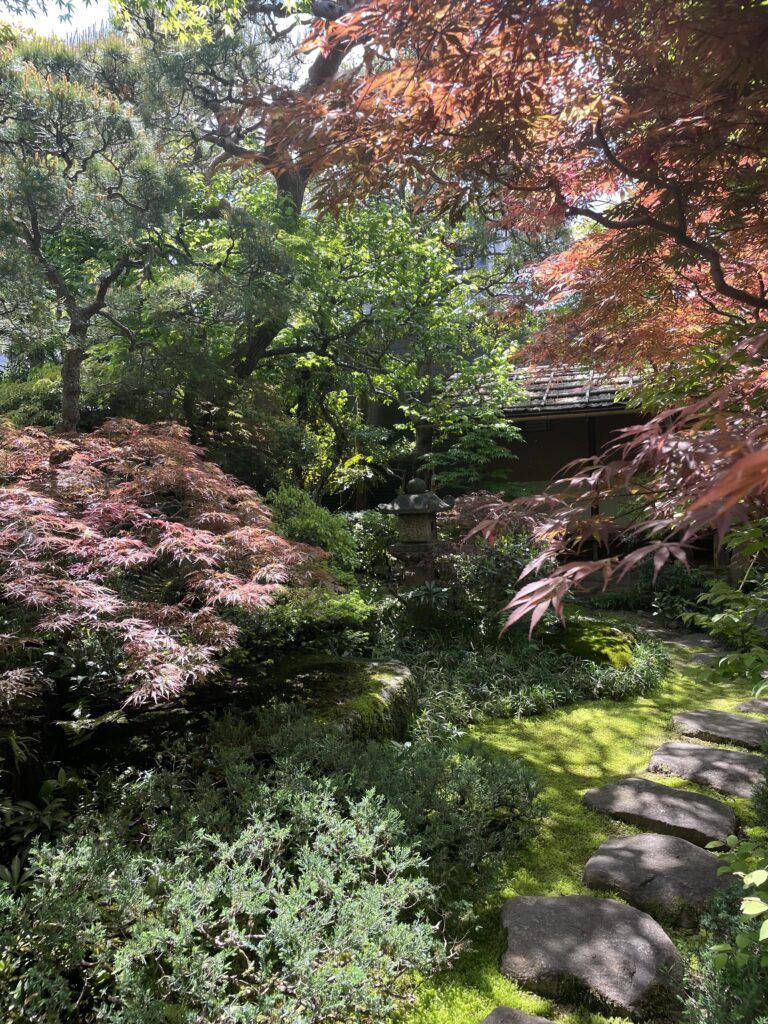 ゴールデンウィークの獨楽庵