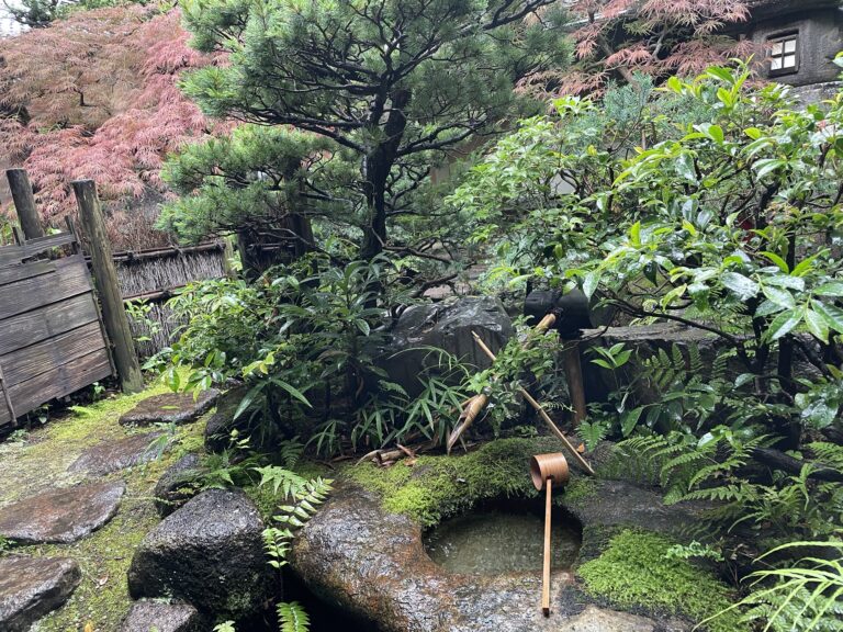 7月の獨楽庵