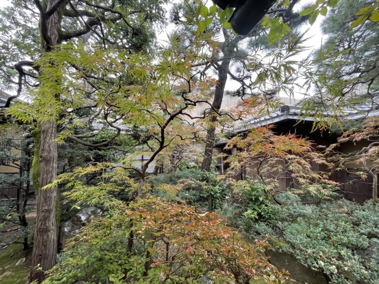 今日の獨楽庵 – 2024年11月20日