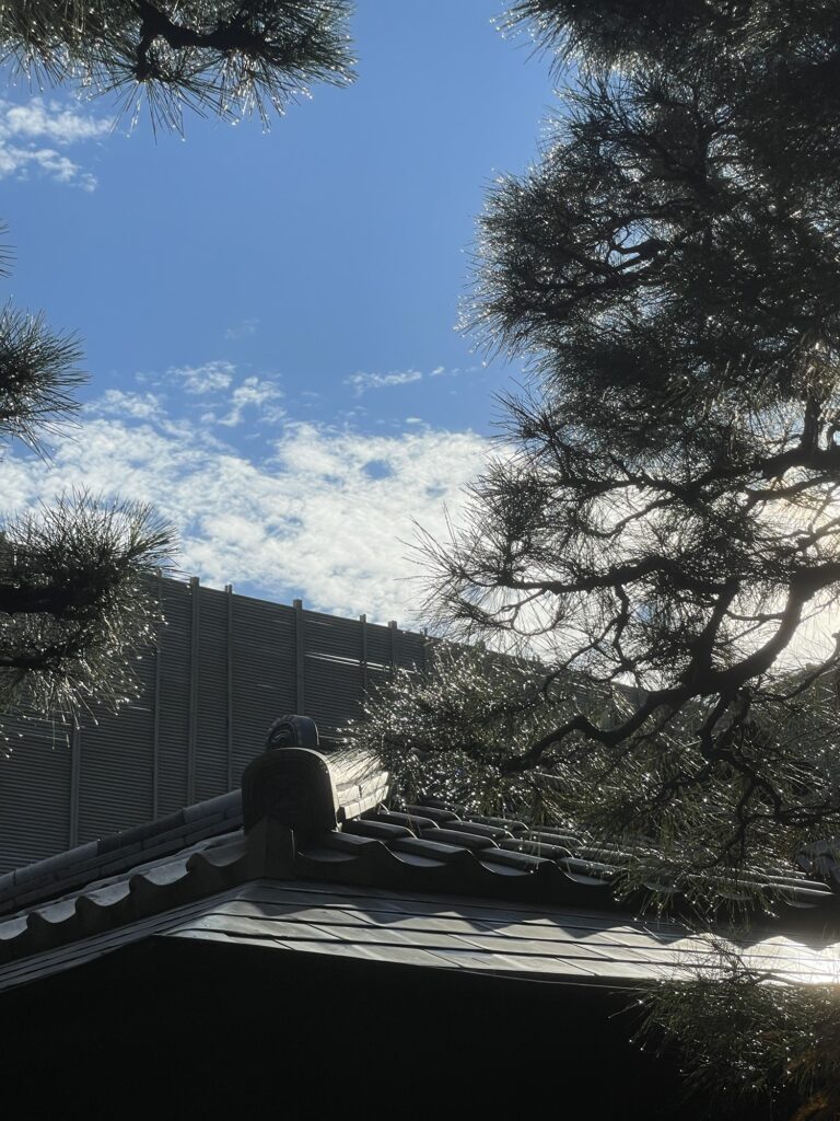 今日の獨楽庵 – 2024年11月27日