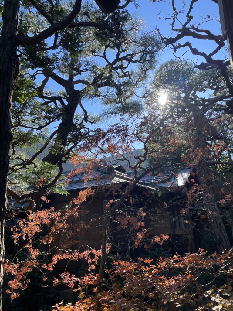 今日の獨楽庵 – 2024年12月19日
