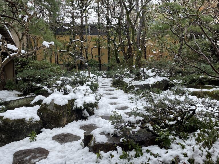 初雪