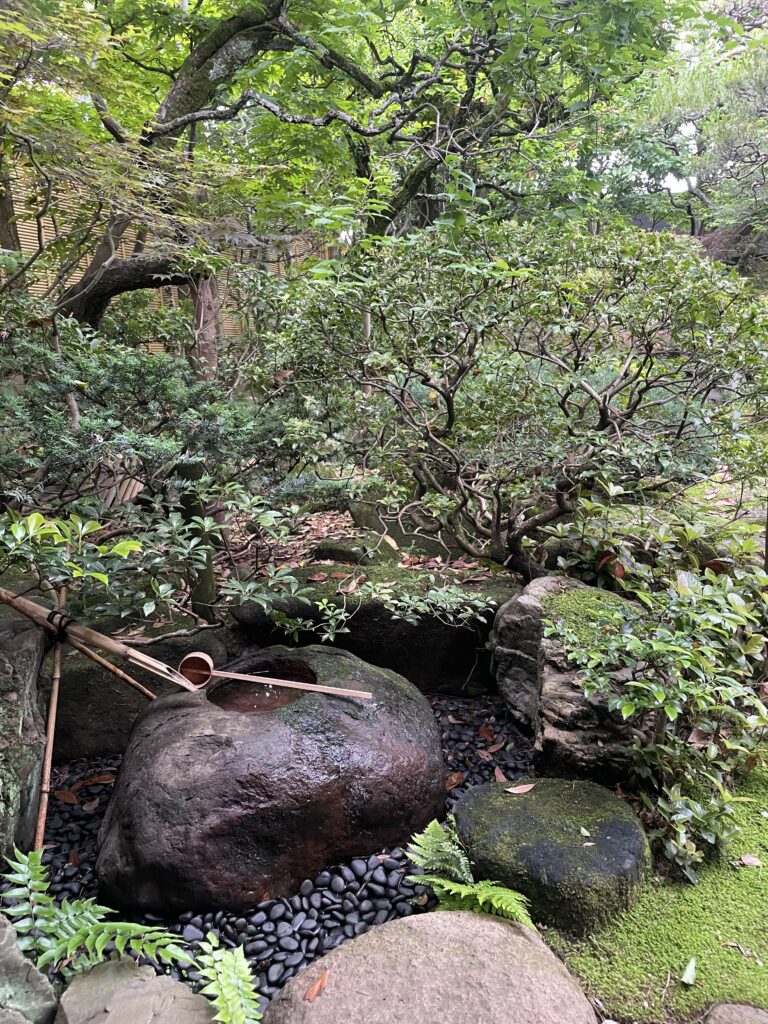 朝の茶事