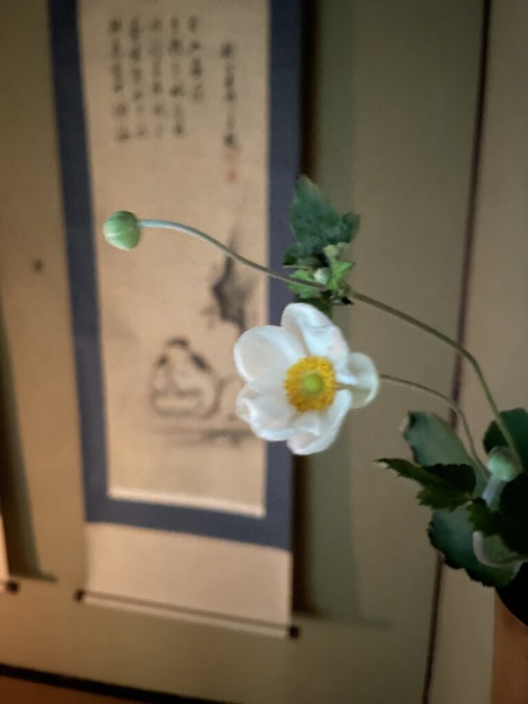 今日の獨楽庵｜2025年10月13日