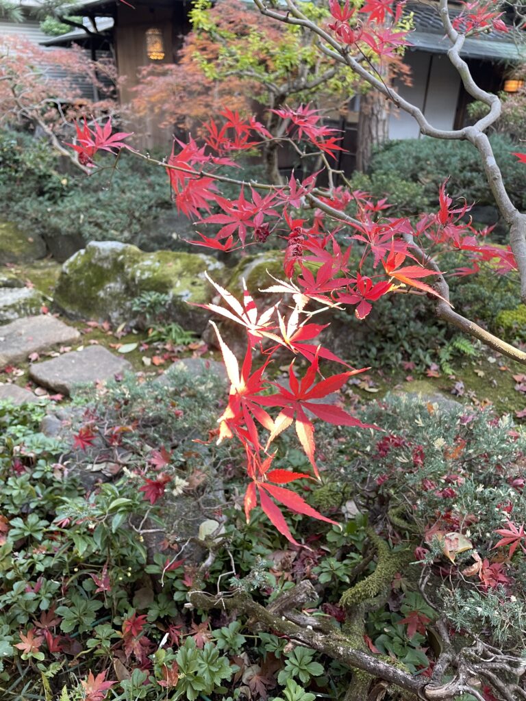 茶室について