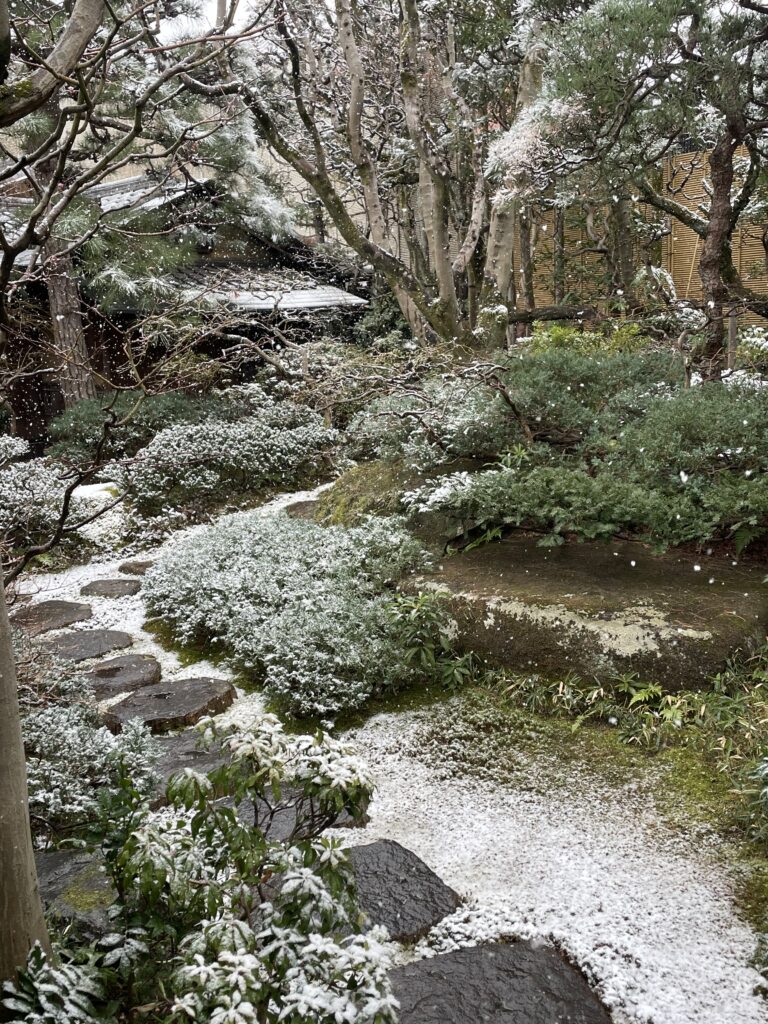 今日の獨楽庵｜2026年2月8日
