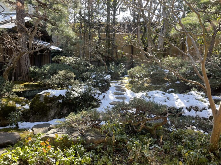 今日の獨楽庵｜2026年2月10日